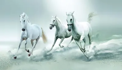 Three white horses galloping through pale mist
